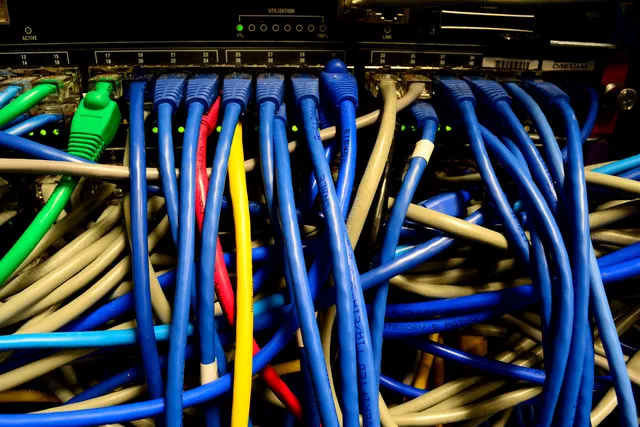Photograph: Blue, grey and green Ethernet cables plugged into a network switch.