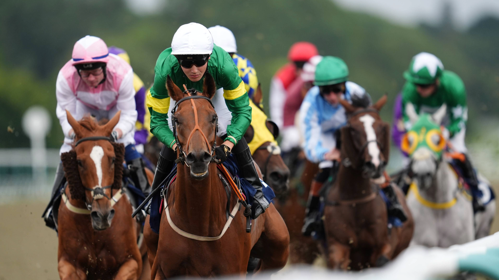 Today on Sky Sports Racing: Lingfield and Newcastle | Racing News Today on Sky Sports Racing: Lingfield and Newcastle | Racing News