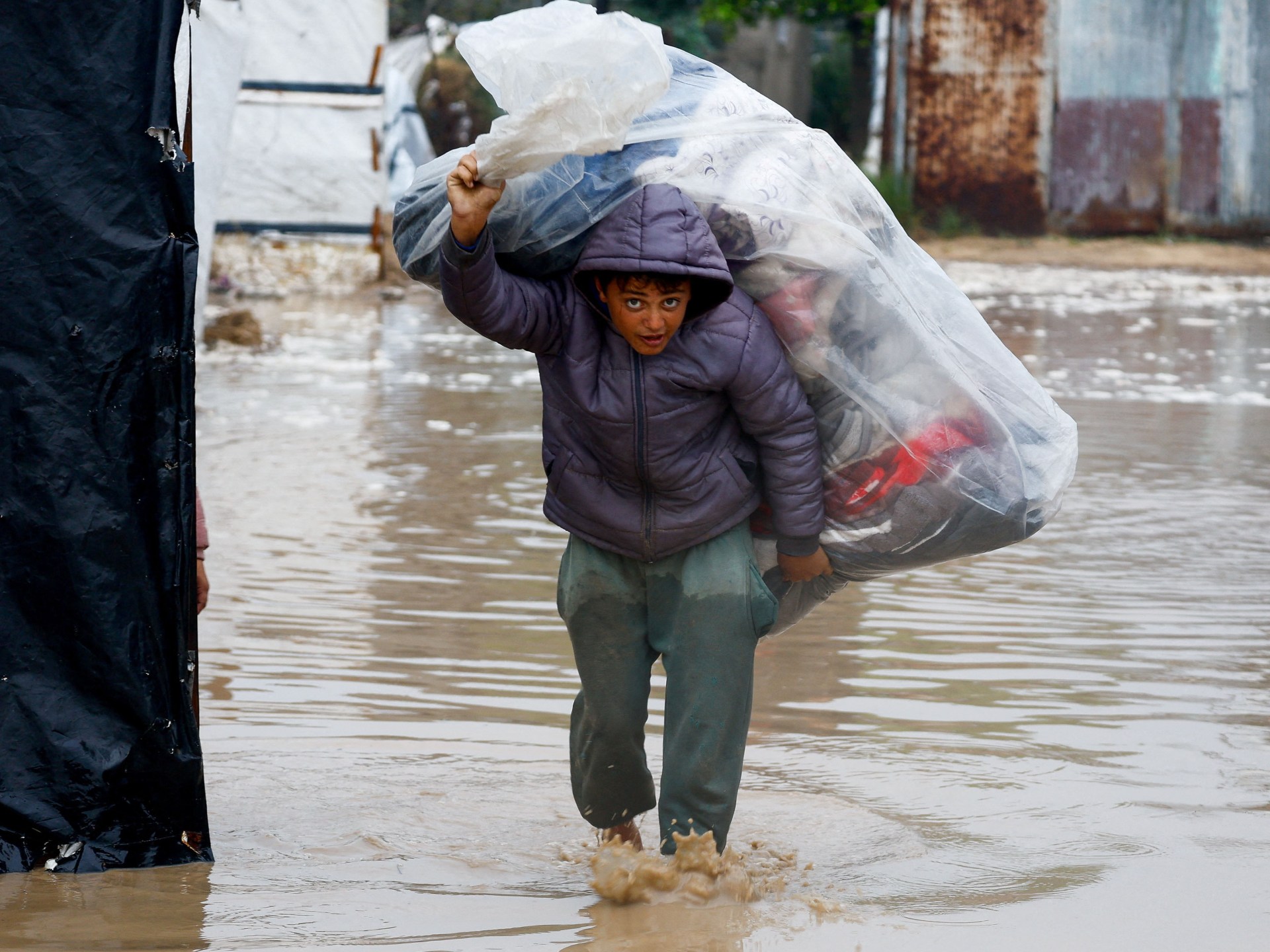 Doctors fear ‘swamp fever’ spreading in flood-hit Gaza | Israel-Palestine conflict Doctors fear ‘swamp fever’ spreading in flood-hit Gaza | Israel-Palestine conflict