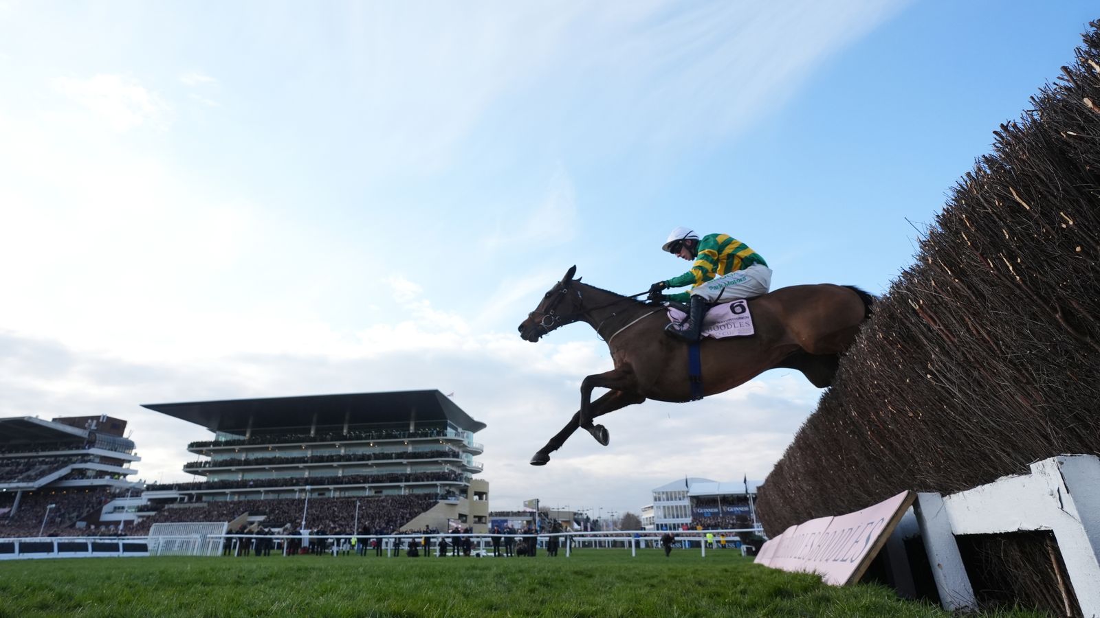 Cheltenham Festival: Inothewayurthinkin and Galopin Des Champs feature in Gold Cup shakeup | Racing News Cheltenham Festival: Inothewayurthinkin and Galopin Des Champs feature in Gold Cup shakeup | Racing News