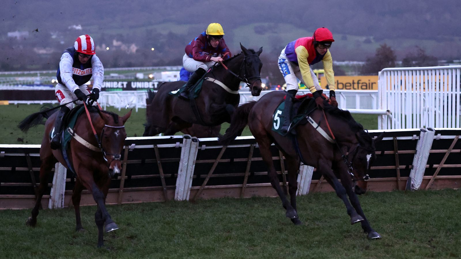 Harry Redknapp-owned Taurus Bay denied Grade 2 win in controversial Cheltenham finale | Racing News Harry Redknapp-owned Taurus Bay denied Grade 2 win in controversial Cheltenham finale | Racing News