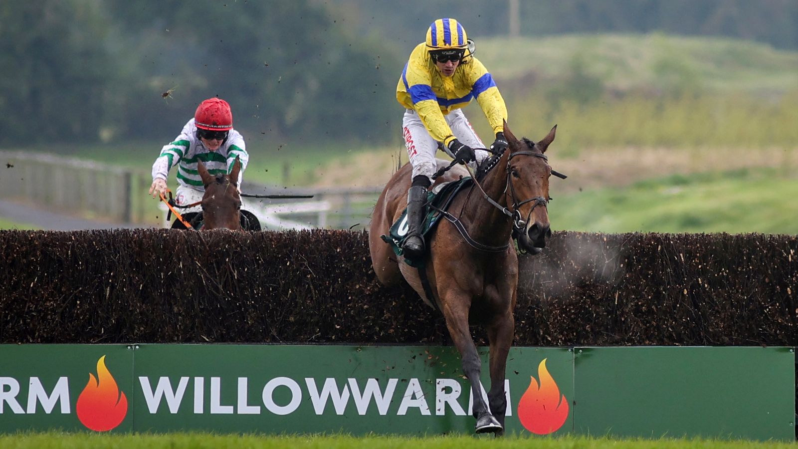 Cheltenham tips: Spindleberry fancied to land Mares’ Chase crown for Willie Mullins | Racing News