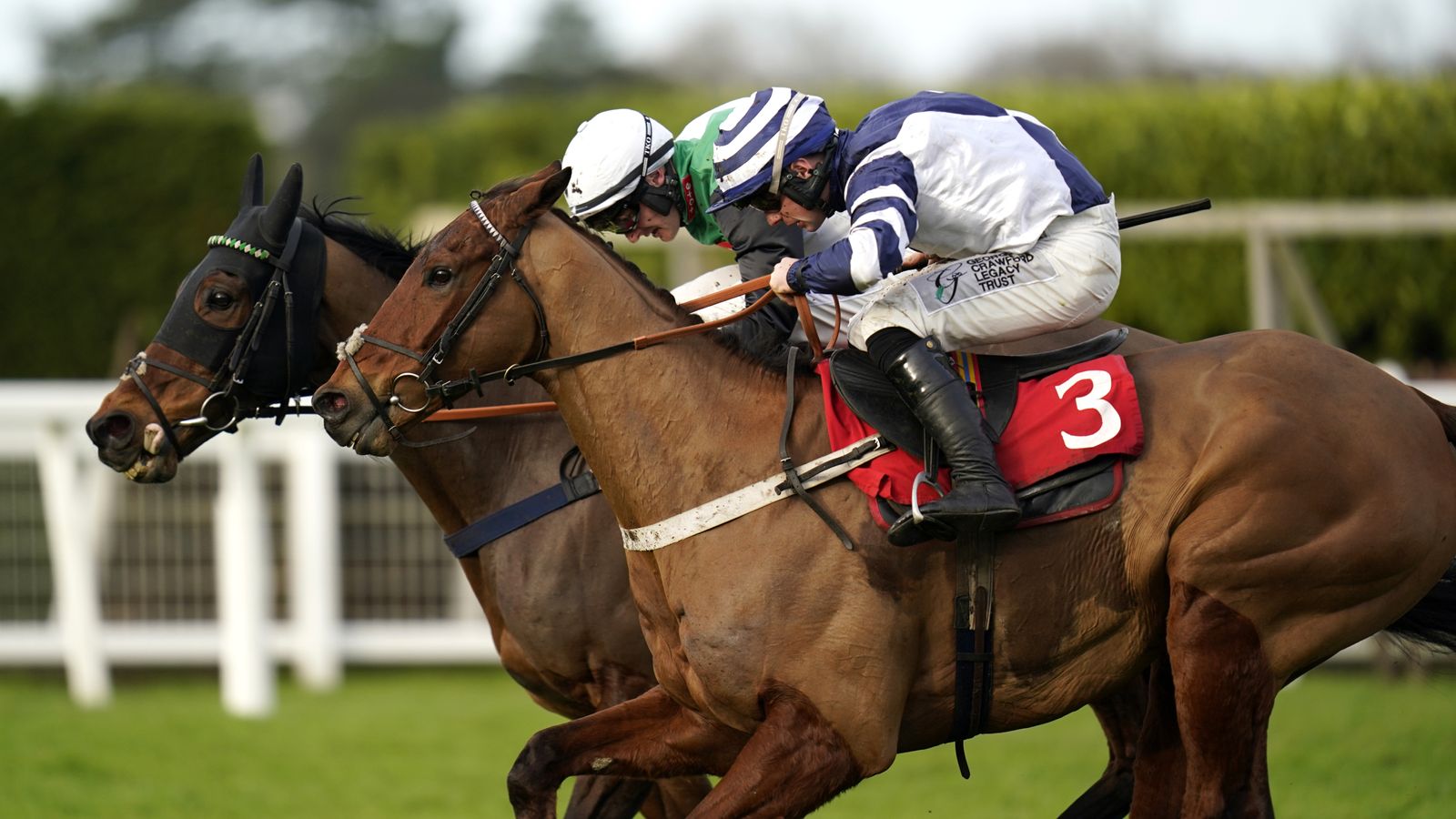 Ascot tips: Vincenzo fancied to scoop Handicap prize on Saturday | Racing News Ascot tips: Vincenzo fancied to scoop Handicap prize on Saturday | Racing News