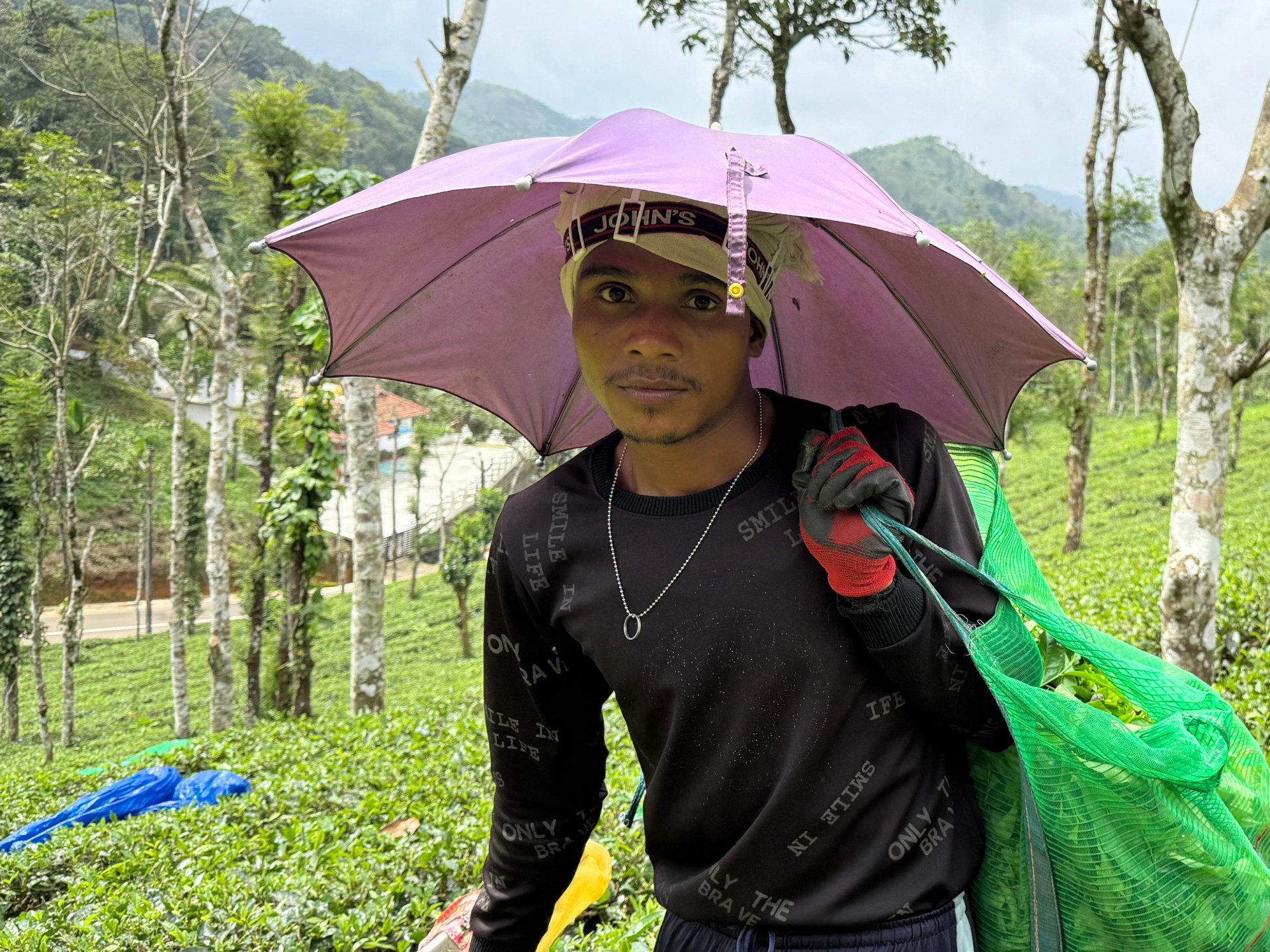 Driven by money, pushed by passion: Migrant tea pickers of Kerala, India | Agriculture Driven by money, pushed by passion: Migrant tea pickers of Kerala, India | Agriculture