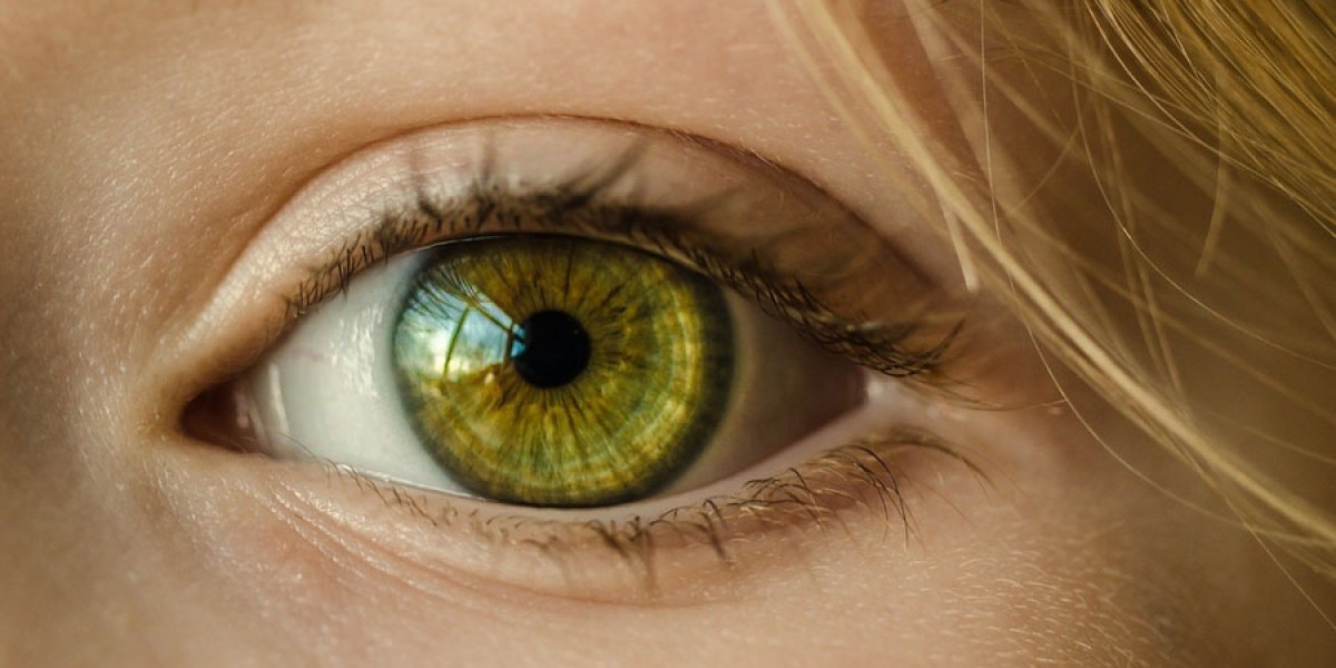 A retinal reboot for amblyopia