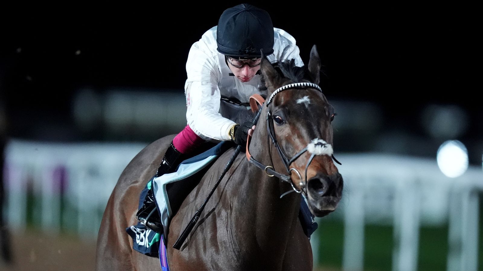 Constitution Hill: 2023 Champion Hurdle hero romps home at Southwell to win on Flat debut for Nicky Henderson and Oisin Murphy | Racing News Constitution Hill: 2023 Champion Hurdle hero romps home at Southwell to win on Flat debut for Nicky Henderson and Oisin Murphy | Racing News