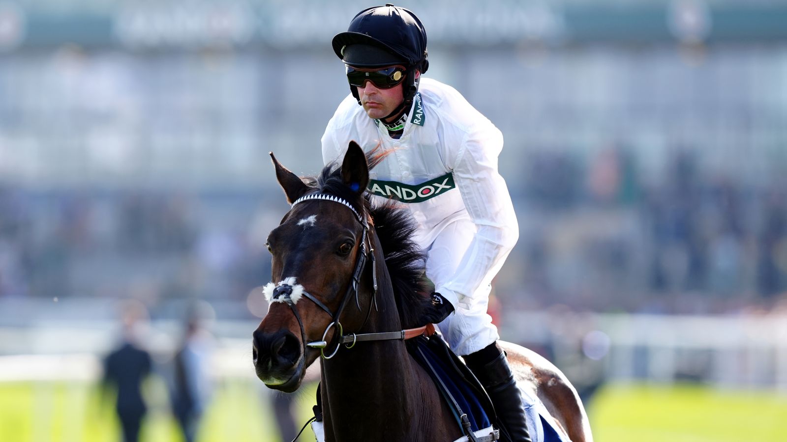 Constitution Hill: 2023 Champion Hurdle winner ruled out of Cheltenham Festival run as hurdling career ends | Racing News Constitution Hill: 2023 Champion Hurdle winner ruled out of Cheltenham Festival run as hurdling career ends | Racing News