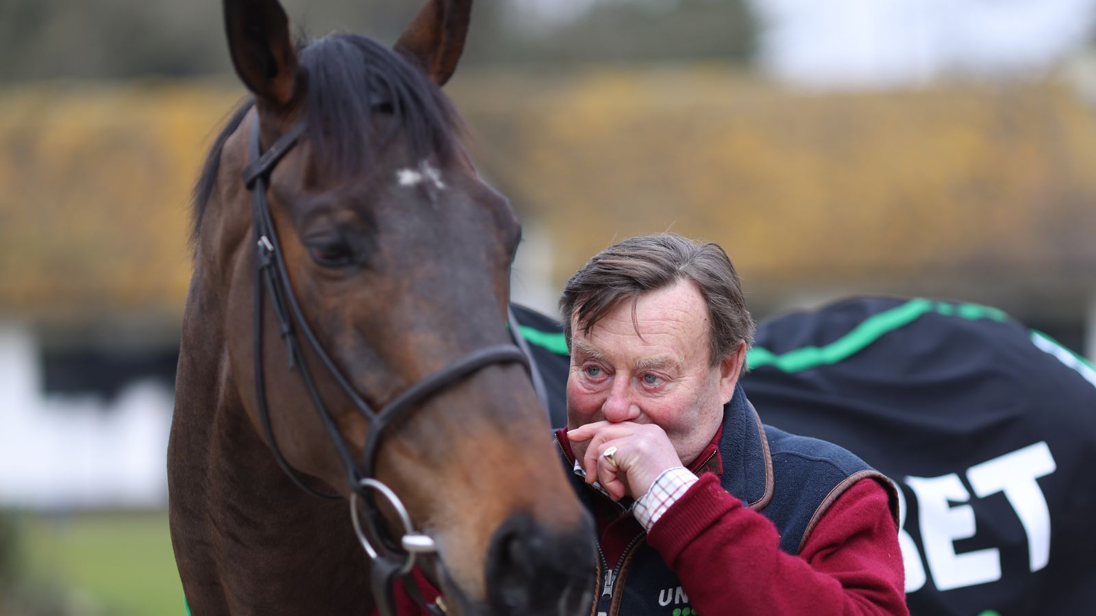 Has Nicky Henderson made the right call on Constitution Hill? Has Nicky Henderson made the right call on Constitution Hill?